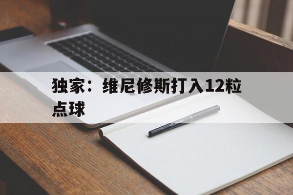 独家：维尼修斯打入12粒点球的简单介绍